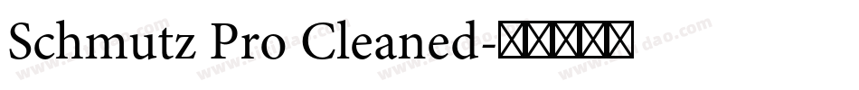Schmutz Pro Cleaned字体转换